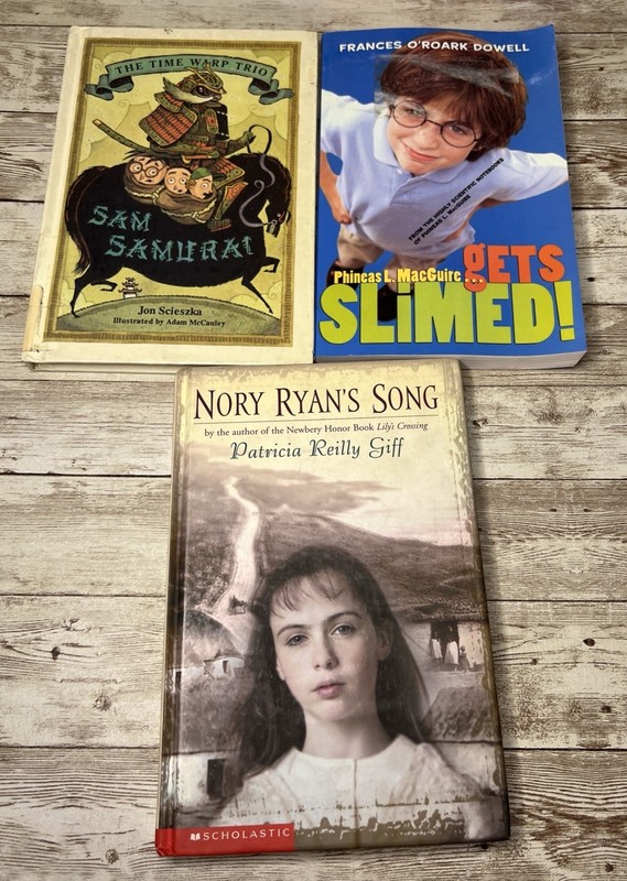Lot of 28 Grade 3-6 Chapter Books Novels 14lbs / 39 Clues, ECHO , School of Fear gallery