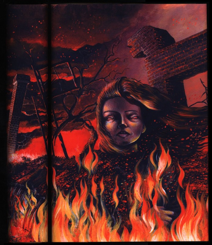 Firestarter Stephen King HC First Edition with DJ by Glenn Chadbourne