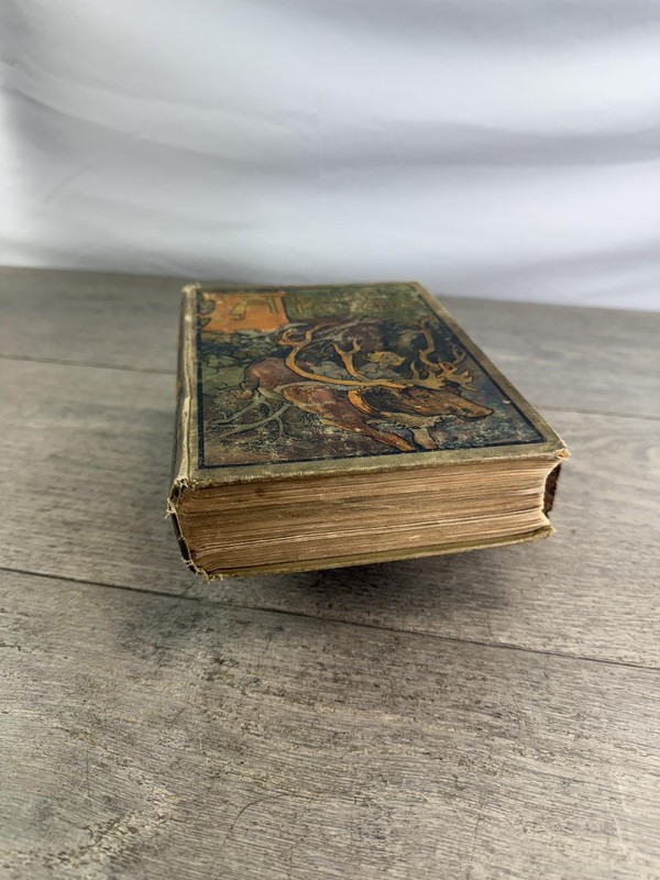 Vintage Andersen's Fairy Tales Hans Andersen Stratton J.B. Lippincott 1910 HC gallery