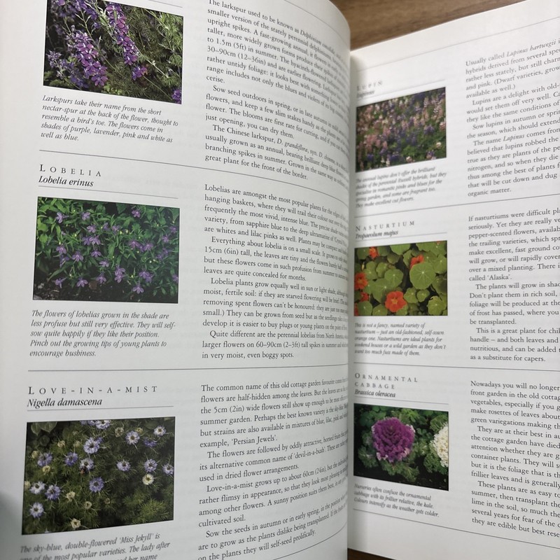 A Gardener's Guide to Cottage Gardening by Strong, Graham, Acceptable Book gallery