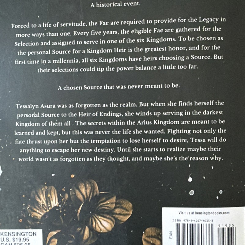 Rain of Shadows and Endings by Melissa K. Roehrich Paperback Legacy series #1 gallery