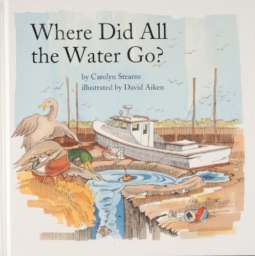 Carolyn Stearns Where Did All the Water Go? (Hardback) (UK IMPORT)