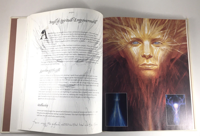 Good Faeries Bad Faeries Brian Froud c1998 HC Gr8 4 Art Framing 2-in-1 Book gallery