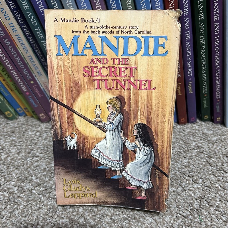 Mandie Book Lot #1-32 Lois Leopard Mystery Paperback Missing Books 3 & 29 VTG