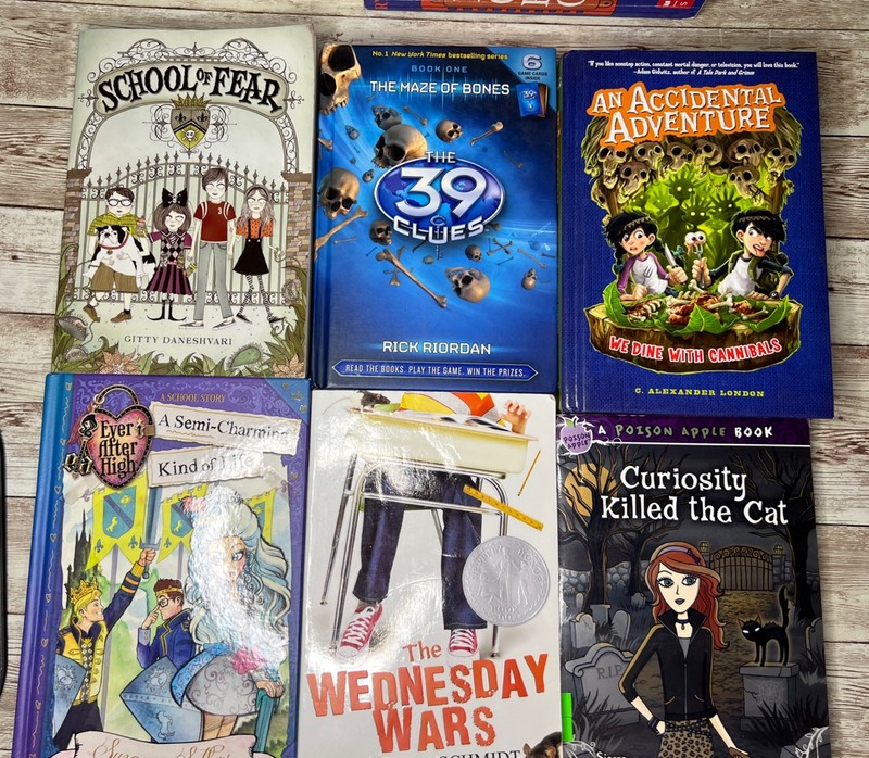 Lot of 28 Grade 3-6 Chapter Books Novels 14lbs / 39 Clues, ECHO , School of Fear gallery