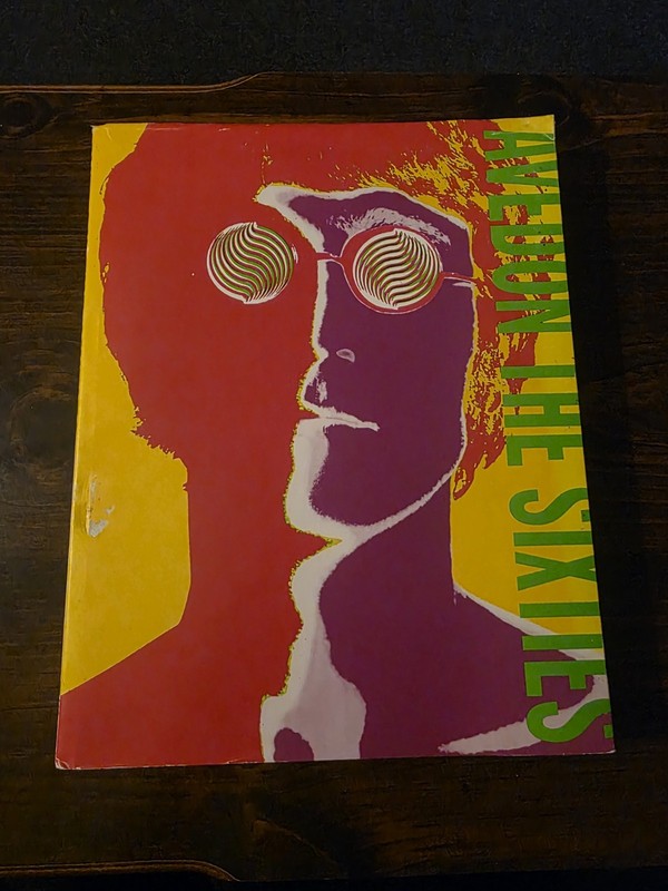The Sixties by Doon Arbus and Richard Avedon HCDJ 1999
