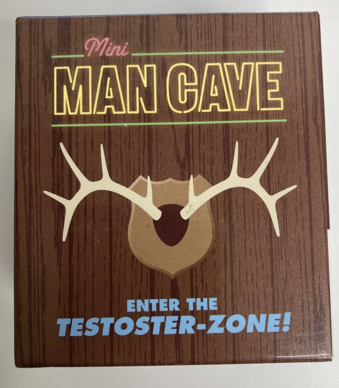 Mini Man Cave: Enter the Testoster-zone! by Running Press Book