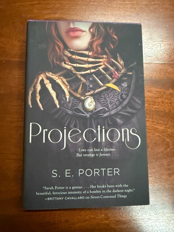 Projections by S. E. Porter - 2024, Hardcover, New!