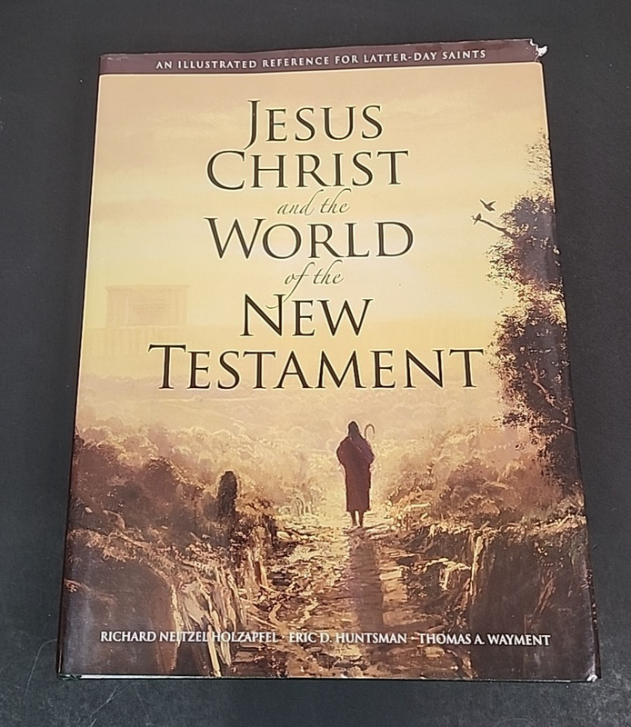 Jesus Christ and the World of the New Testament 1st Ed HCDJ Holzapfel Mormon LDS