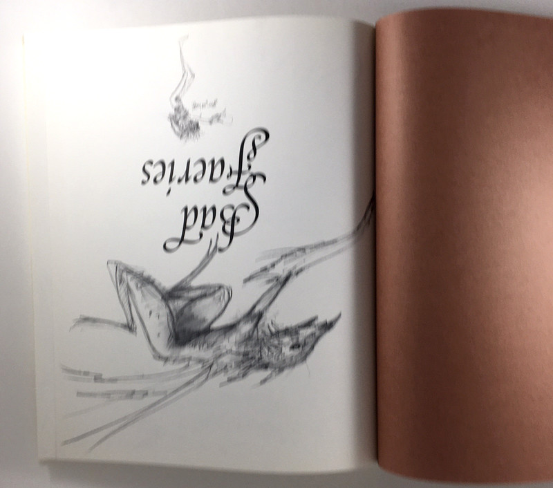 Good Faeries Bad Faeries Brian Froud c1998 HC Gr8 4 Art Framing 2-in-1 Book gallery