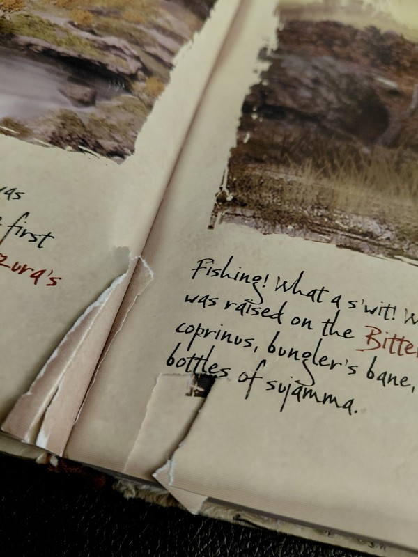 THE ELDERS SCROLLS 2017's collector's edition journal art gallery