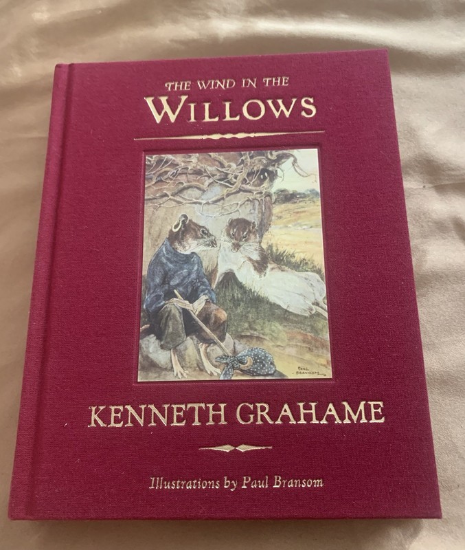 Wind In The Willows Kenneth Grahame, HC 1st Ed, Race point