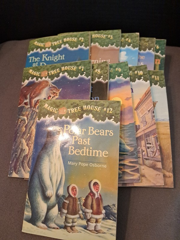 (Lot Of 11) Magic Tree House Books 2-12