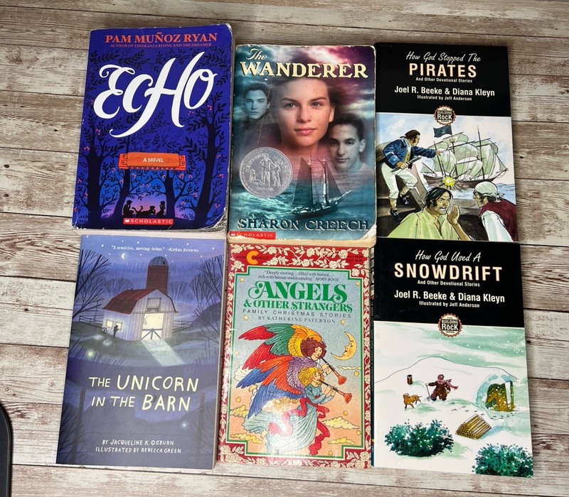 Lot of 28 Grade 3-6 Chapter Books Novels 14lbs / 39 Clues, ECHO , School of Fear gallery