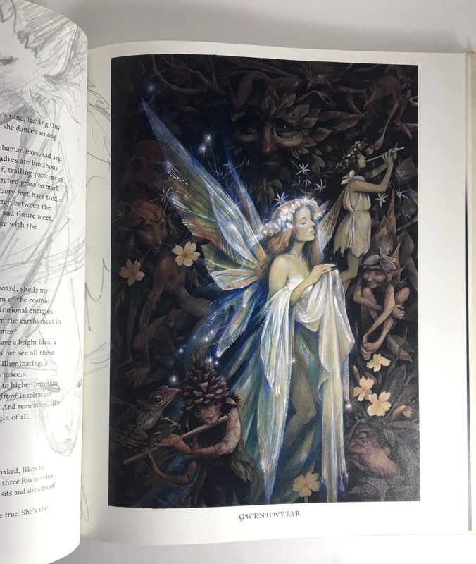 Good Faeries Bad Faeries Brian Froud c1998 HC Gr8 4 Art Framing 2-in-1 Book gallery
