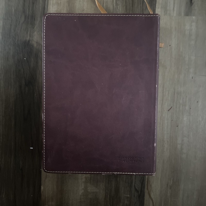 Zondervan NIV Compact Study Bible Italian Duo-Tone Tan Burgundy 2011 Small Print gallery