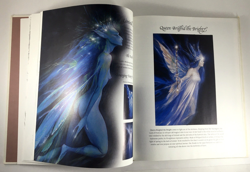 Good Faeries Bad Faeries Brian Froud c1998 HC Gr8 4 Art Framing 2-in-1 Book gallery