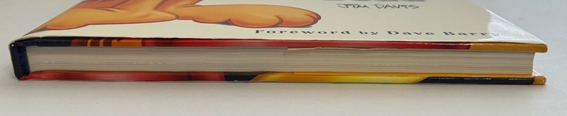 Garfield At 25 In Dog Years I’d Be Dead Hardcover Book By Jim Davis 2002 Edition gallery