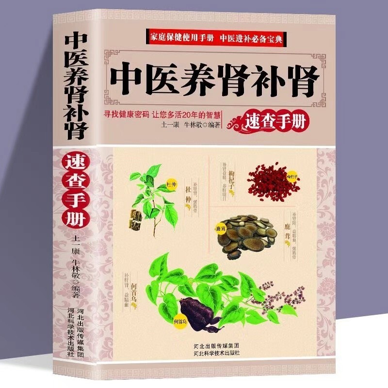 New Chinese Traditional herbal Book medicinal 中医养肾补肾固本肾好不衰老饮食食谱药膳按摩推拿中药材中医养生