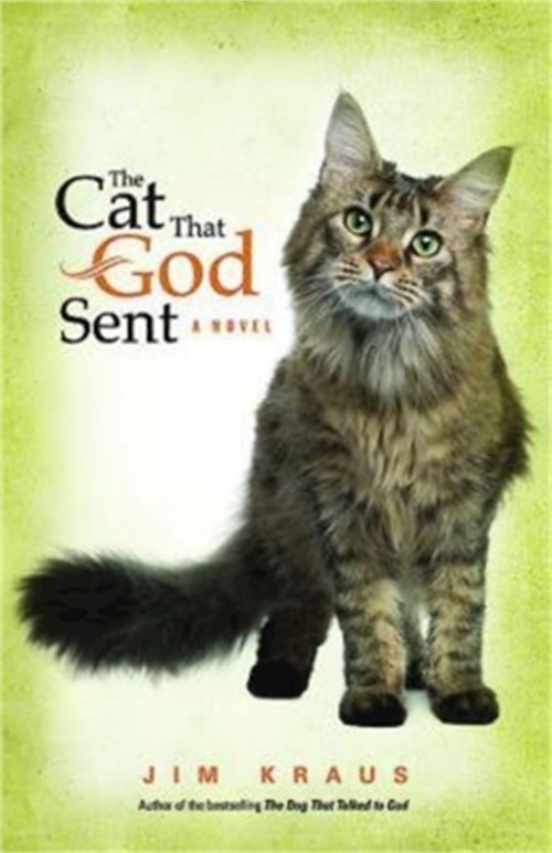 The Cat That God Sent (Paperback or Softback)