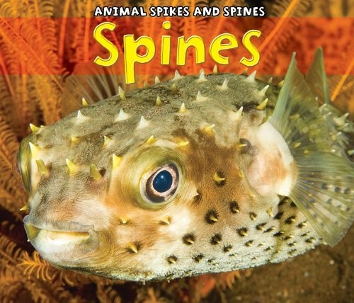 Spines Paperback Rebecca Rissman