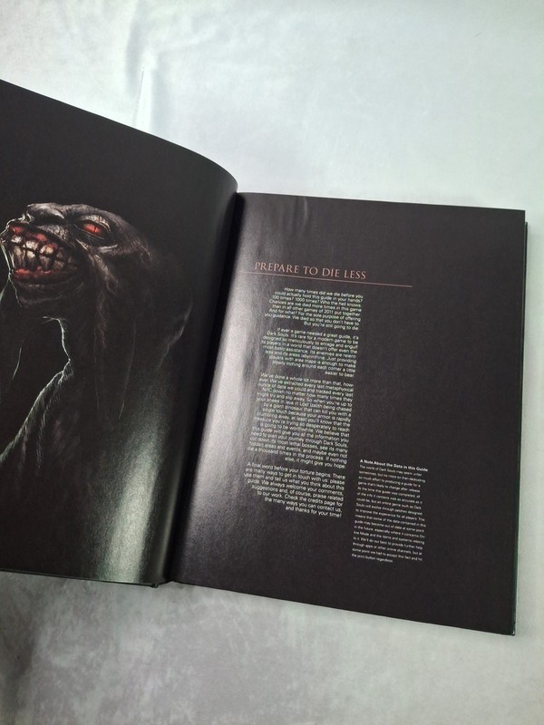 Dark Souls 1 Collector's Edition Official Hardback Strategy Video Game Guide gallery