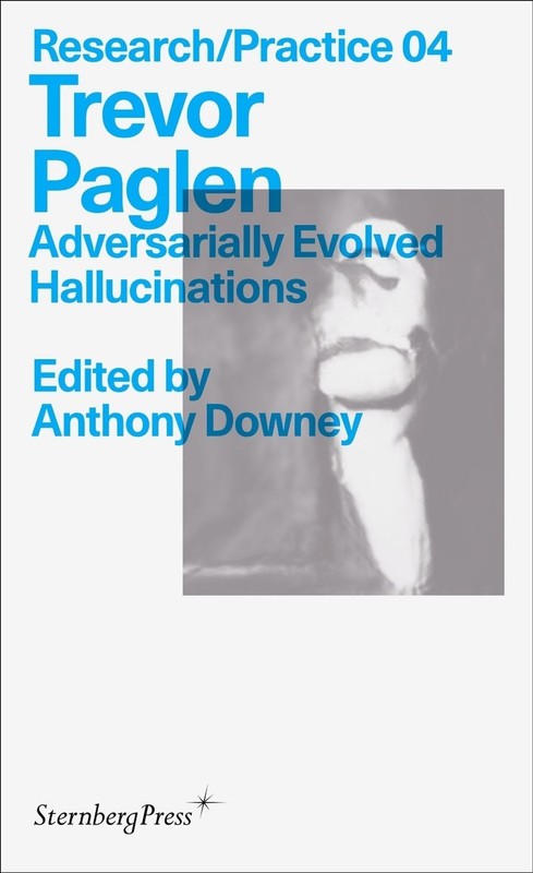 Trevor Paglen: Adversarially Evolved Hallucinations by Anthony Downey Paperback