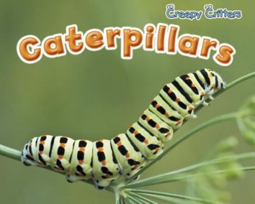 Caterpillars Paperback Rebecca Rissman