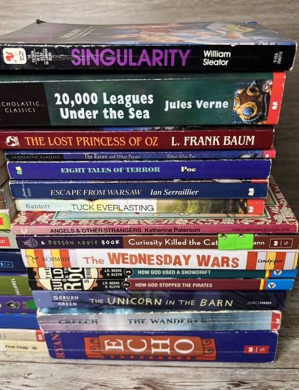 Lot of 28 Grade 3-6 Chapter Books Novels 14lbs / 39 Clues, ECHO , School of Fear gallery