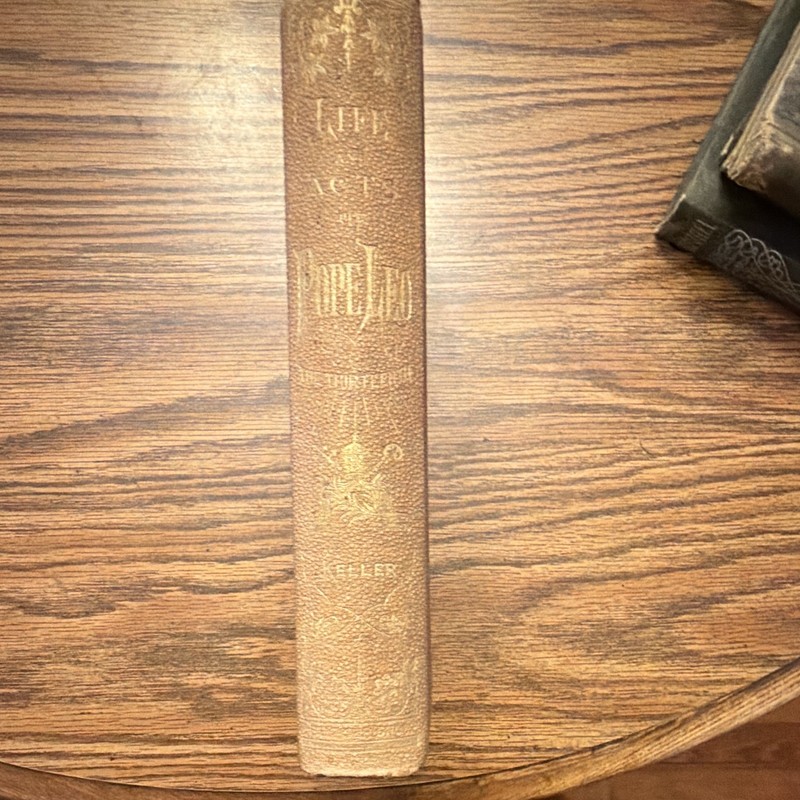1888 Life of Pope Leo XIII Golden Jubilee Edition Illustrated Catholic Antique gallery
