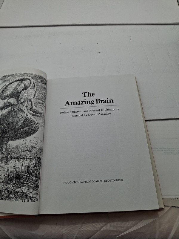 THE AMAZING BRAIN - Robert Ornstein and Richard Thompson 1984 gallery