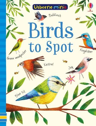 Sam Smith Kirsteen Robson Birds to Spot (Paperback) Usborne Minis (UK IMPORT)