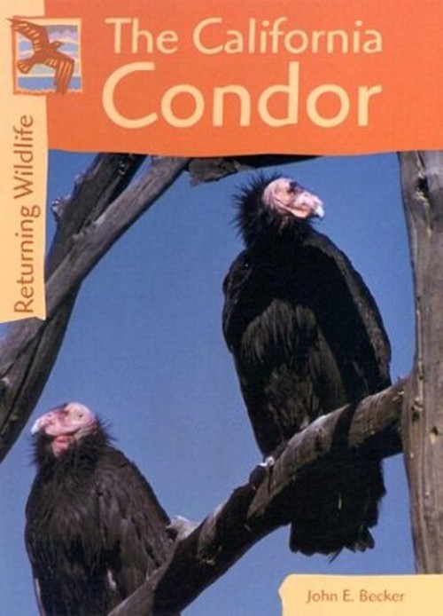 The California Condor Hardcover John E. Becker