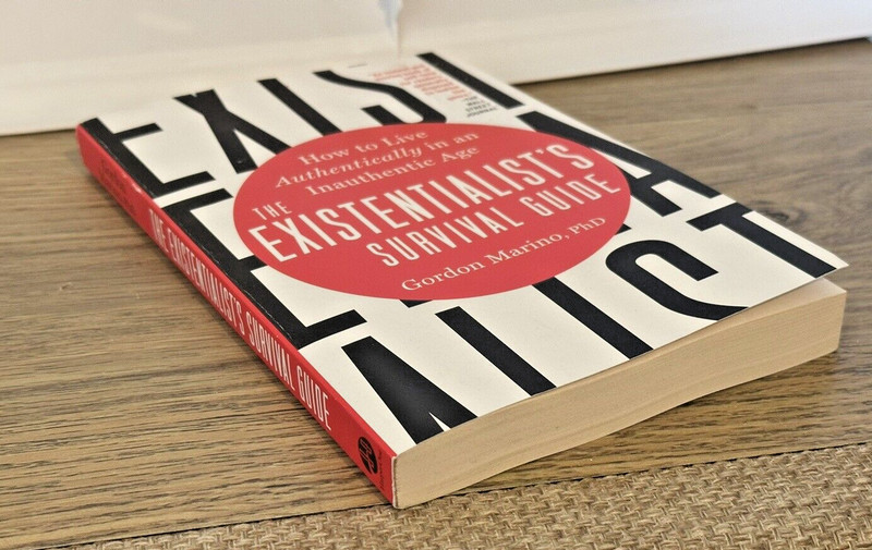 The Existentialist's Survival Guide, by Gordon Marino PhD gallery