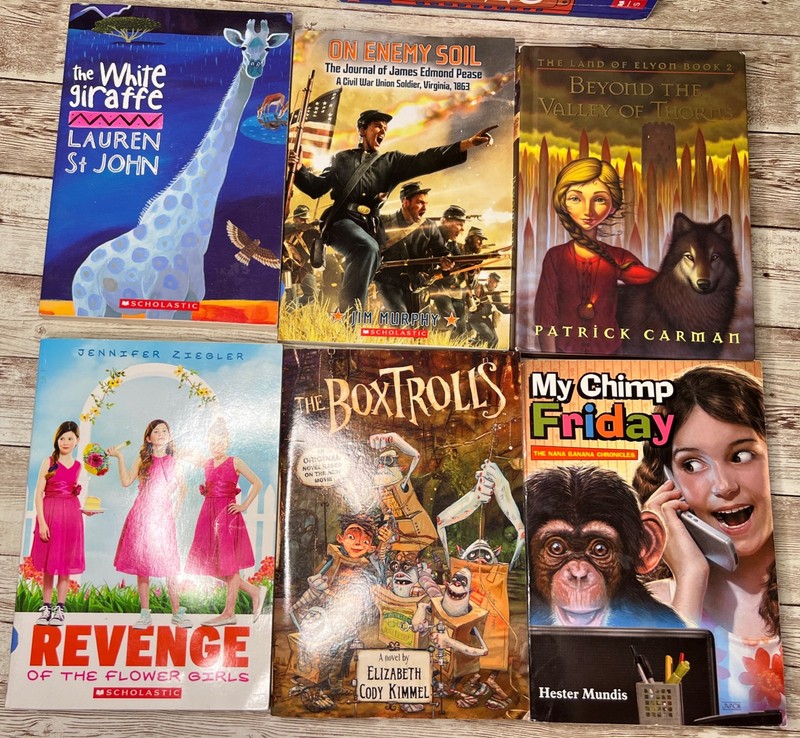 Lot of 28 Grade 3-6 Chapter Books Novels 14lbs / 39 Clues, ECHO , School of Fear gallery