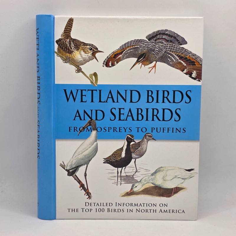Wetland Birds and Seabirds: From Ospreys to Puffins by Rob Hume
