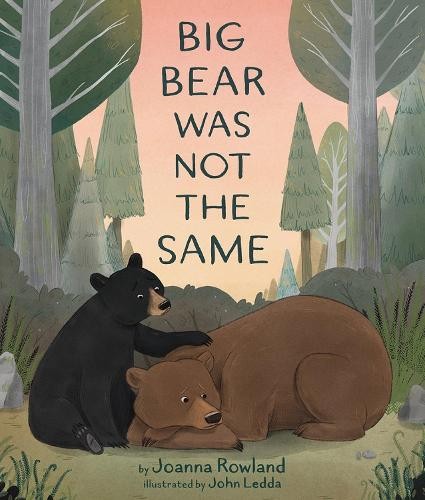 Joanna Rowland Big Bear Was Not the Same (Hardback)