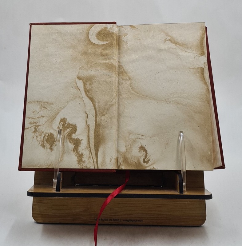 Gravity's Rainbow (Classics Deluxe Edition): (Penguin Cl [PREMIUM LEATHER BOUND] gallery