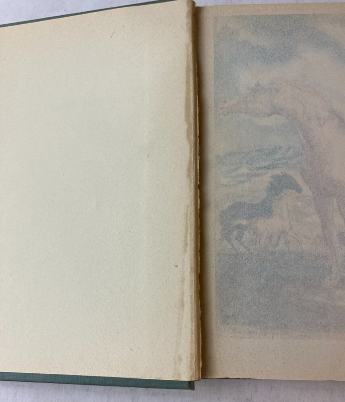 MY FRIEND FLICKA BY MARY O'HARA 1941 J.B. LIPPINCOTT COMPANY A STORY PRESS BOOK gallery