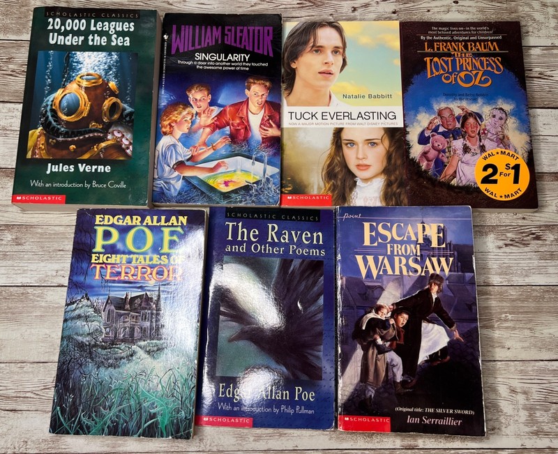Lot of 28 Grade 3-6 Chapter Books Novels 14lbs / 39 Clues, ECHO , School of Fear gallery