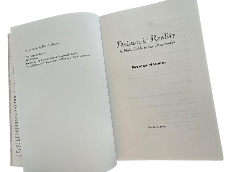 Daimonic Reality A Field Guide to the Otherworld Patrick Harpur HC Book 2003 gallery