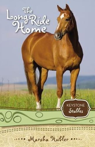 The Long Ride Home: 8 by Marsha Hubler: Used