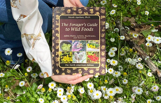 The Forager’s Guide to Wild Foods (paperback with color pictures) gallery