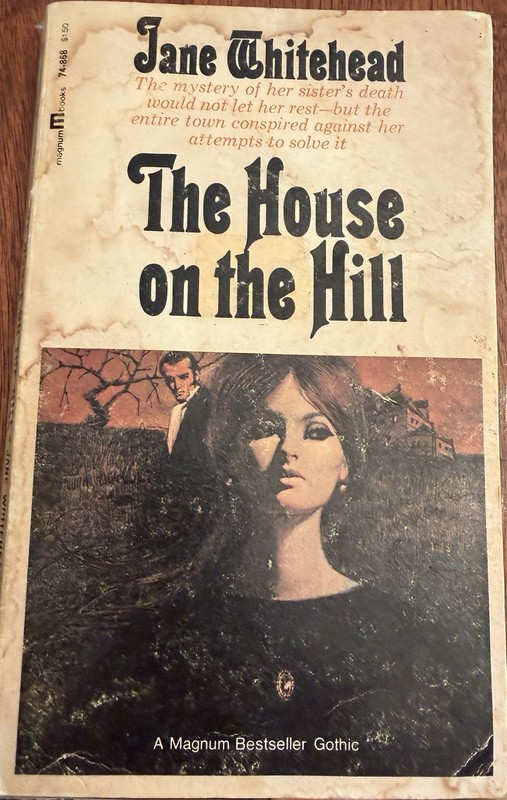 Lot of 3 Paperback Books From The 1960s & 70s Vintage Gothic Suspense Romance gallery