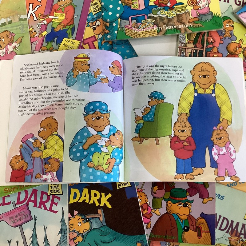 Berenstain Bears Story Children Kids Random Titles Vintage 10 Picture Book Lot gallery