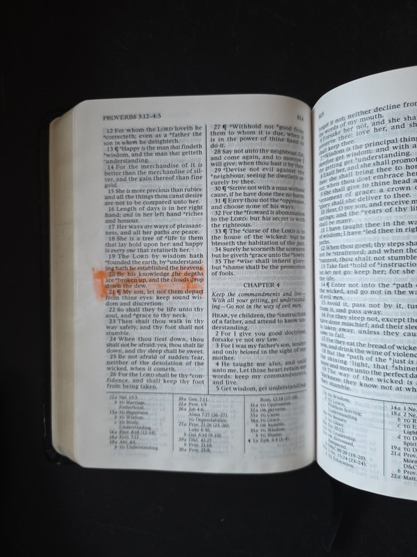 LDS Quad Bible Book of Mormon Scriptures Black 2016 7 1/2 inches x 5 inches gallery