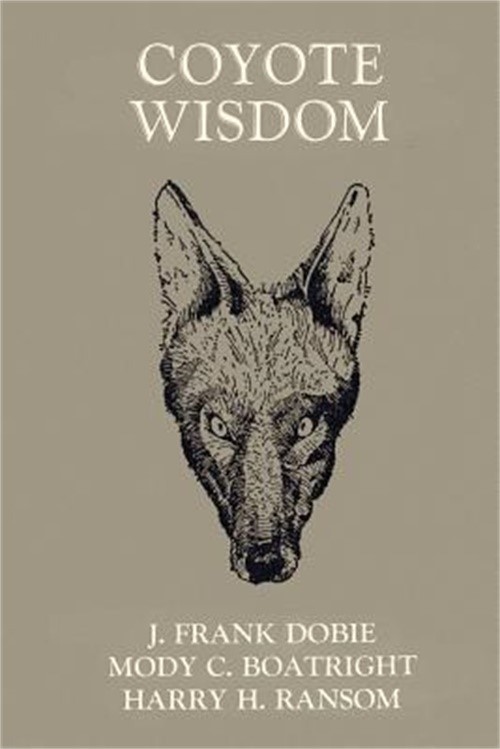 Coyote Wisdom (Paperback or Softback)