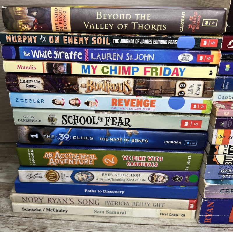 Lot of 28 Grade 3-6 Chapter Books Novels 14lbs / 39 Clues, ECHO , School of Fear gallery