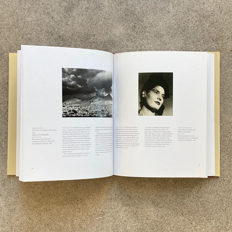 Artists of 20th-Century New Mexico: The Museum of Fine Arts Collection 1992 HCDJ gallery
