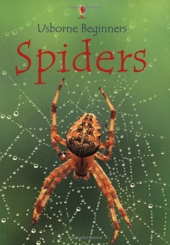 Spiders (Beginners) by Gilpin, Rebecca Paperback Book The Fast Free Shipping